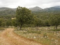 E, Malaga, El Burgo, Sierra de las Nieves 2, Saxifraga-Jan van der Straaten